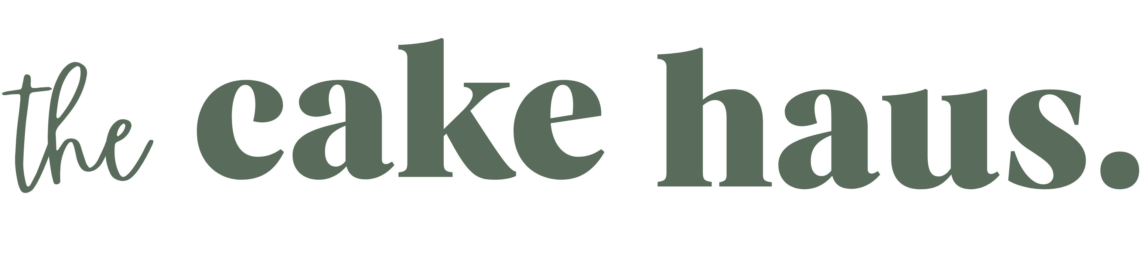 The Cake Haus